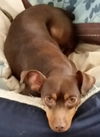 Minnie Penny