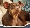 Minnie Penny
