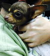 Tiny 