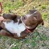 Blaze - Photo 2