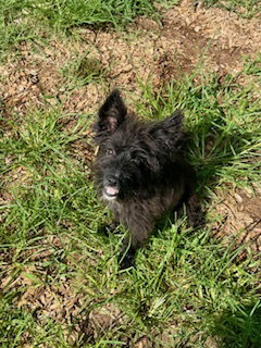Winnie