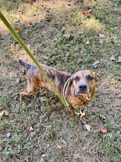 Photo 2 of Ember