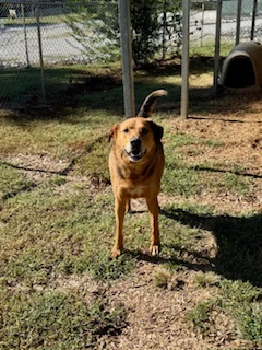 Duke