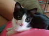 Mellie