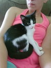 Mellie