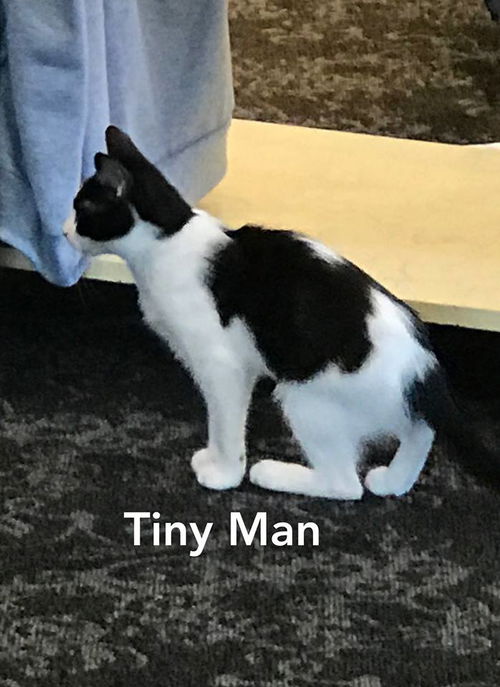 Tiny Man