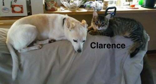 Clarence