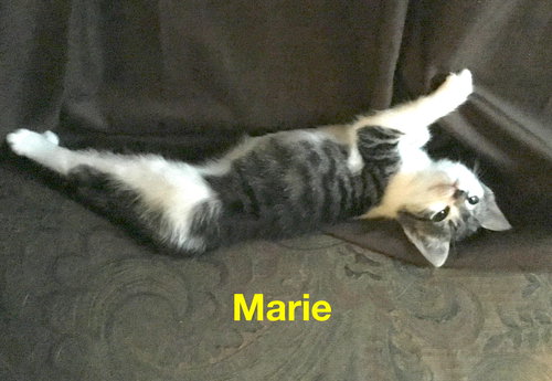 Marie