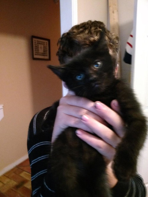 Max