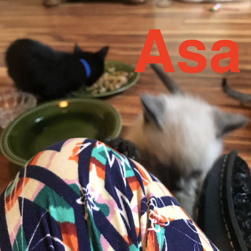 Asa