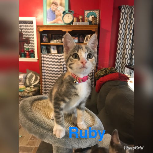 Ruby