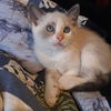 Gina