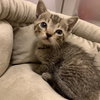 Milo