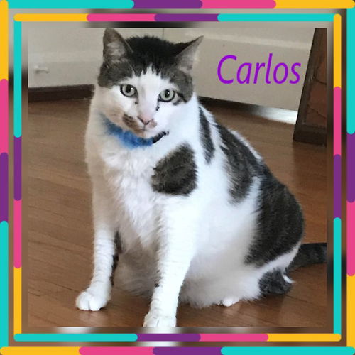 Carlos