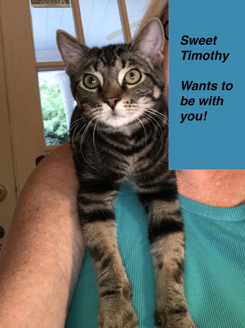 Timothy