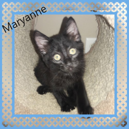 Maryanne