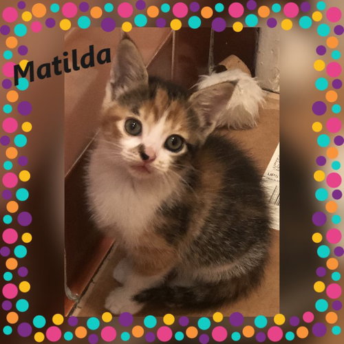 Matilda