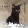 Outlaw