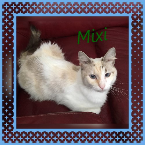Mixi