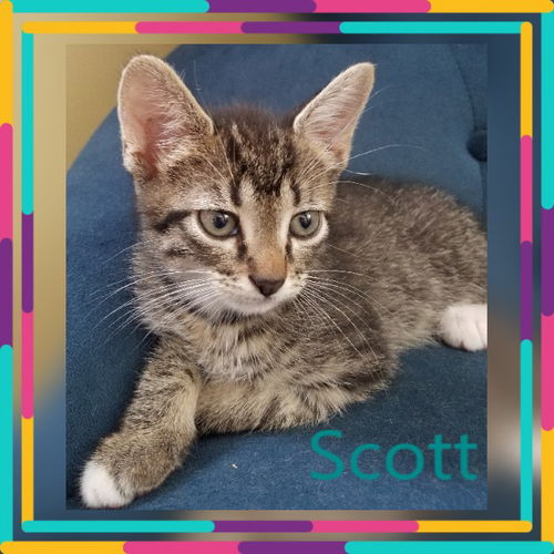 Scott