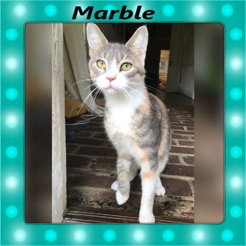 Marble