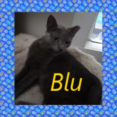 Blu