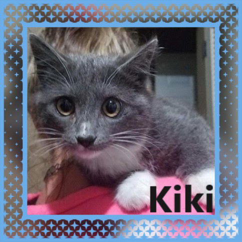 Kiki