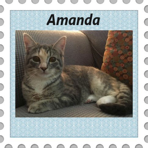 Amanda