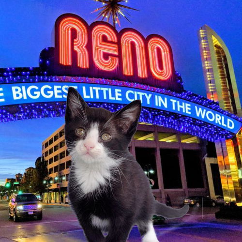 Reno