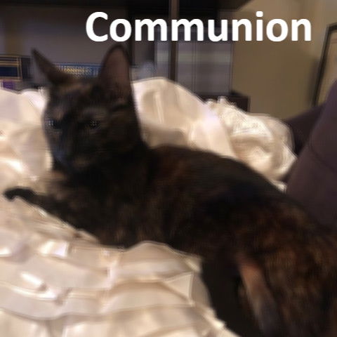 Communion