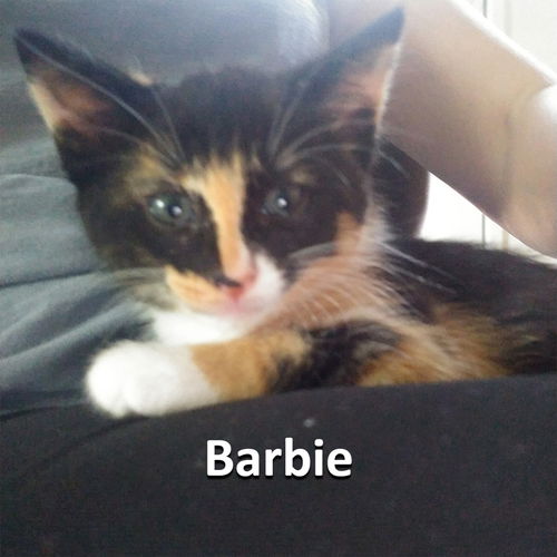 Barbie