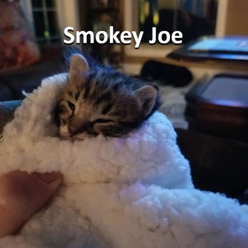 Smokey Joe