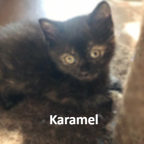 Karamel
