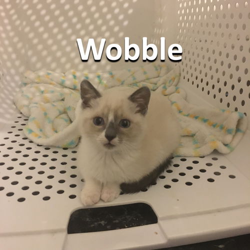 Wobble