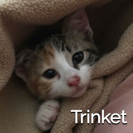 Trinket