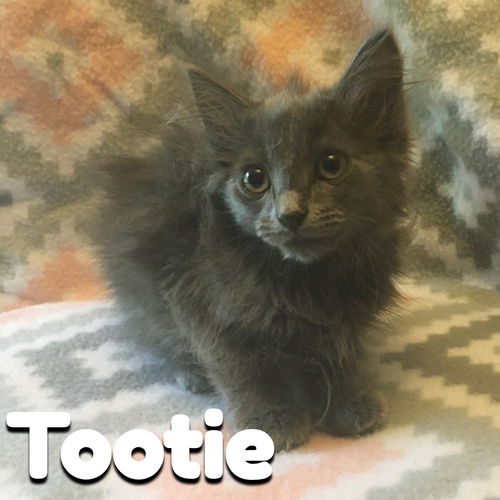 Tootie