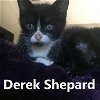 Derek Shepard