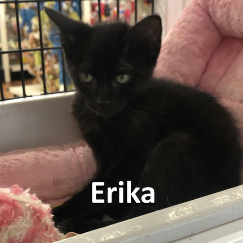 Erika