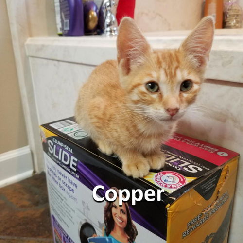 Copper