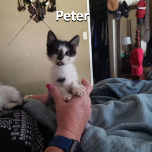 Peter