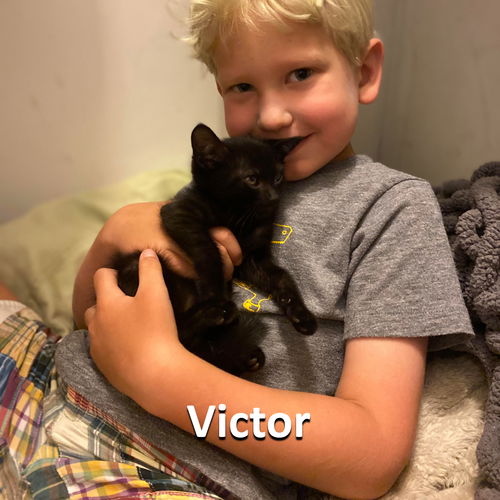 Victor