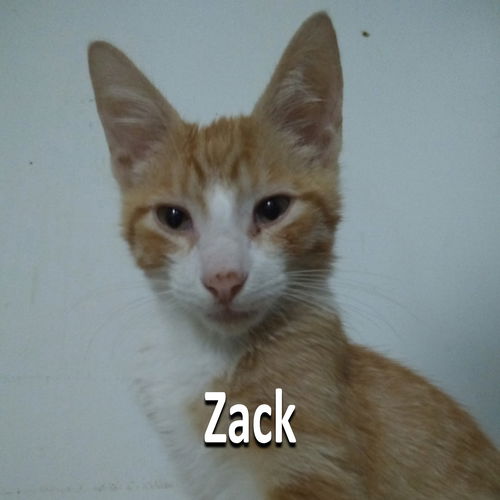 Zack