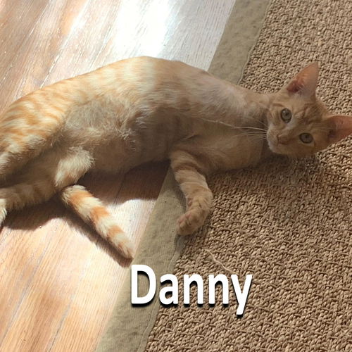 Danny