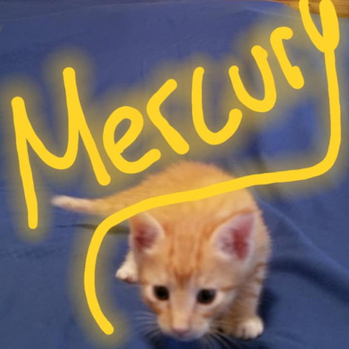 Mercury
