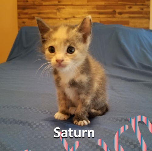 Saturn