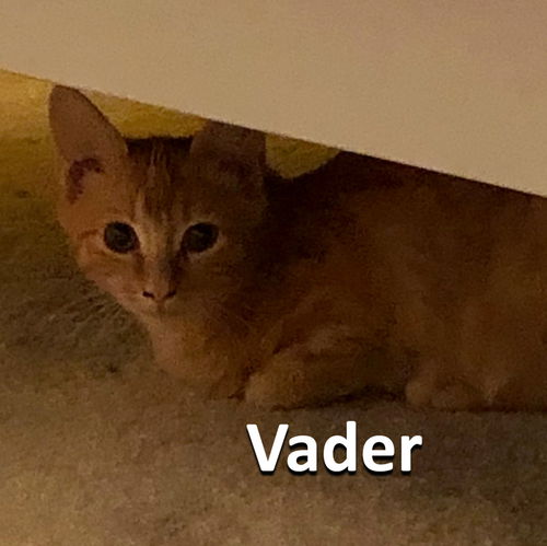 Vader