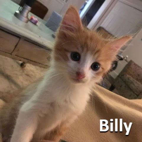 Billy