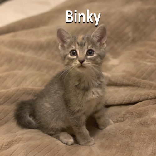 Binky