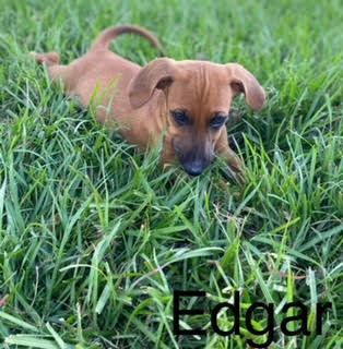 Edgar (10/21)