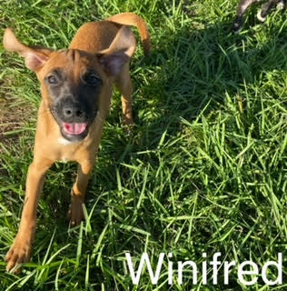 Winifred (10/21)